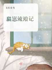 猫崽流浪记