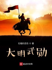 大明武勋